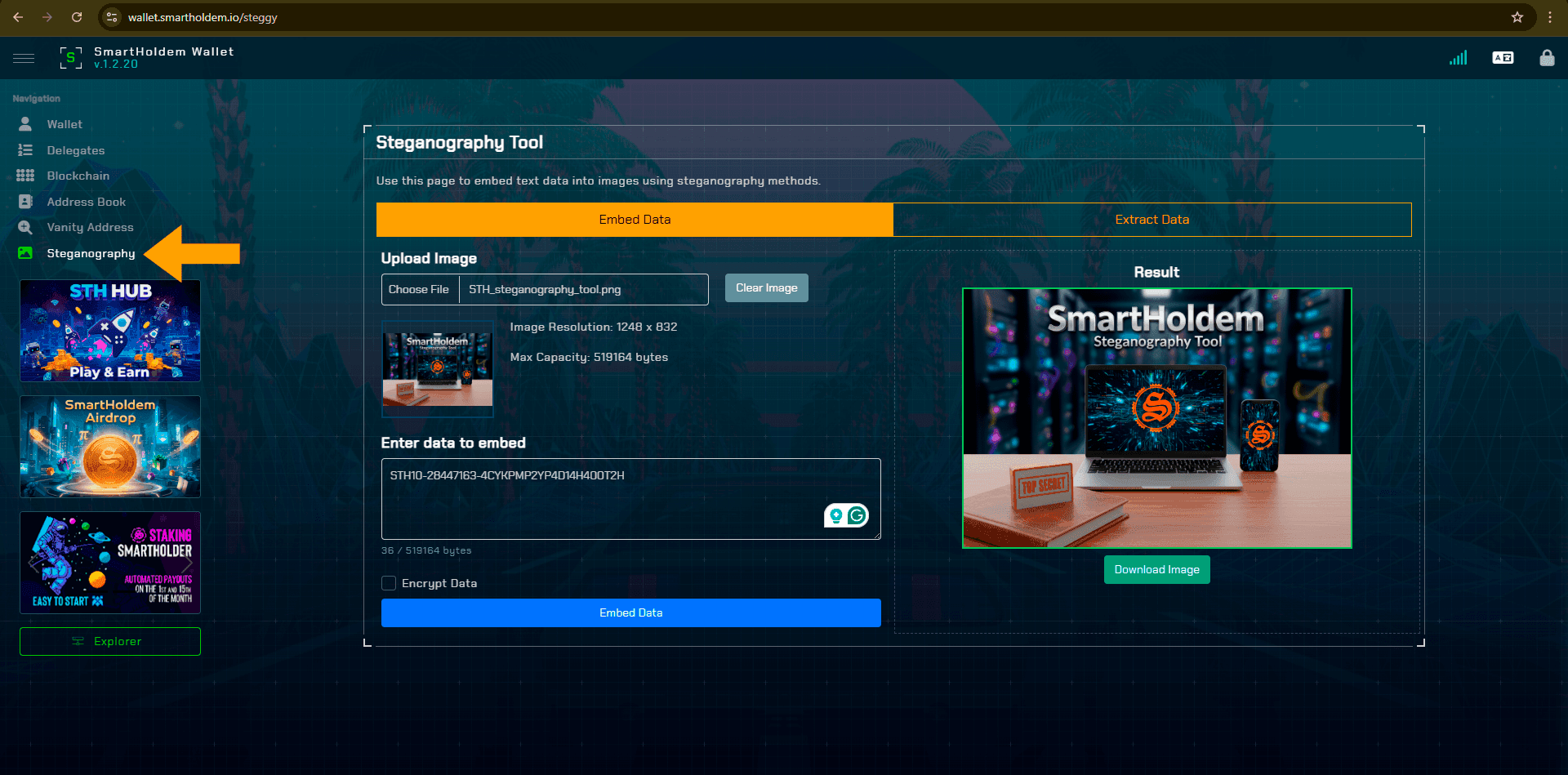 STH_steganography_tool_wallet (1).png