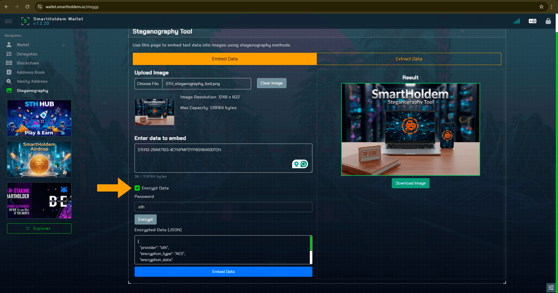 STH_steganography_tool_wallet_aes (1).png