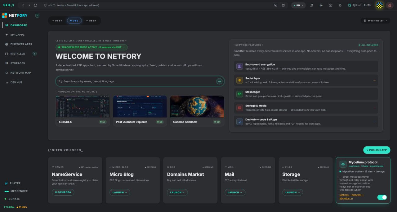 welcome-to-netfory-smartholdem-web4.jpg
